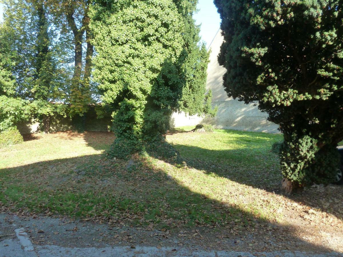 Cote Cour Appartement Bergues Buitenkant foto